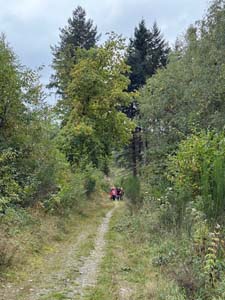 IMG_1464