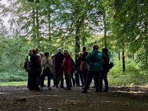 IMG_1481